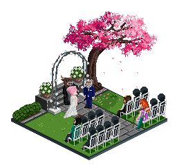 Medium Size - Animated